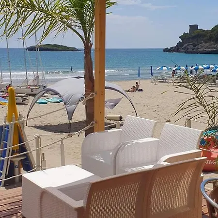 Delfino Marina di Camerota
