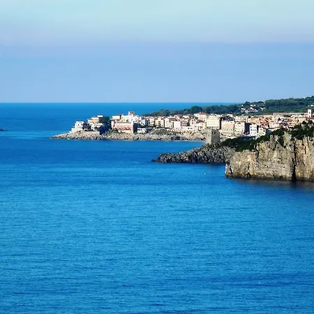 Delfino Marina di Camerota